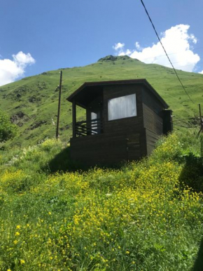 Sno Cottages Twins